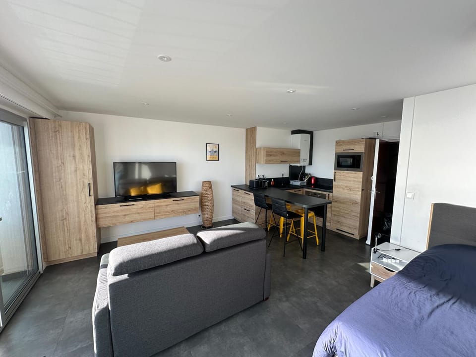 Bed, TV and multimedia, Kitchen or kitchenette, Living room, Photo of the whole room, Seating area, Bedroom, stove