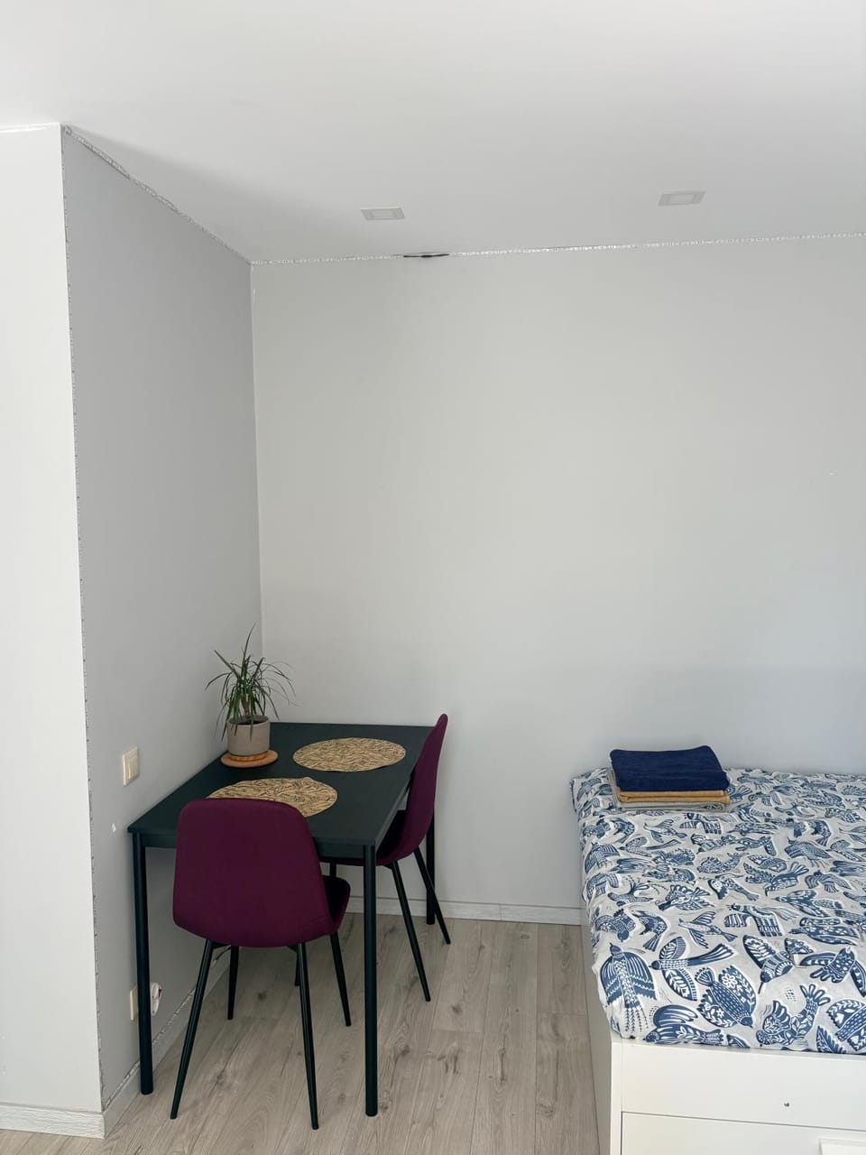 Ziemeļblāzma Apartment in Riga