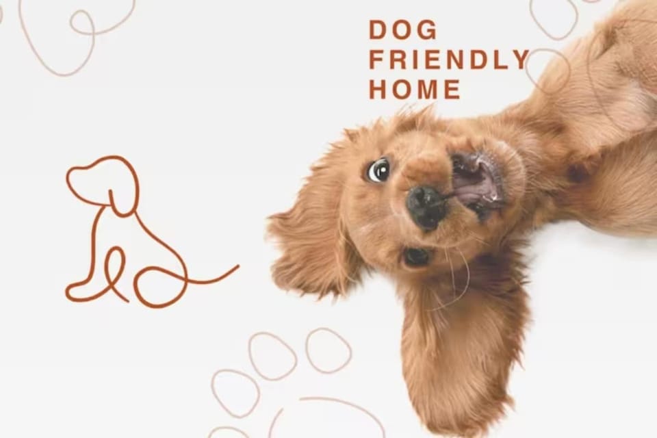 Cosy Lodge on Farm with Donkeys Parking House in Wales