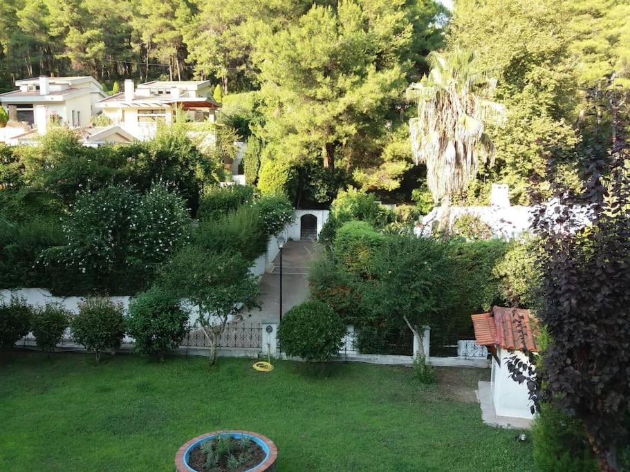 Day, Natural landscape, Garden, Garden view