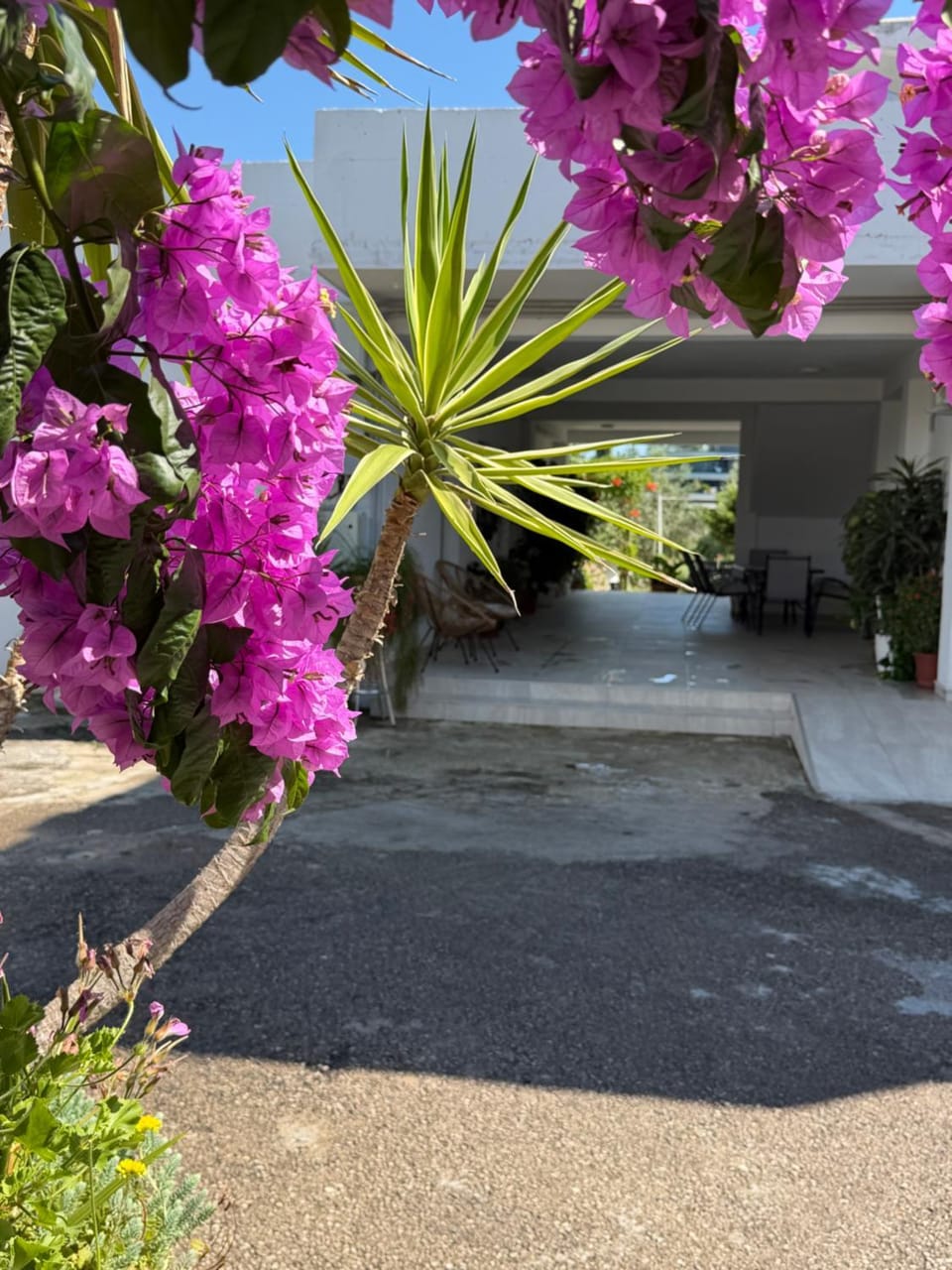 Apartments Jori Apartment in Ulcinj Municipality