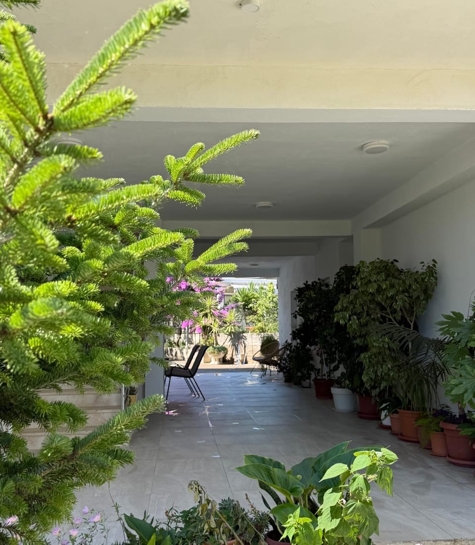 Apartments Jori Apartment in Ulcinj Municipality