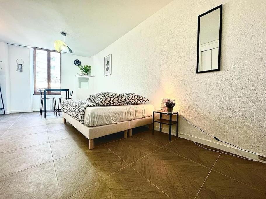 Très grand studio à deux pas de la place de Jaude Puits Artesien Apartment in Clermont-Ferrand