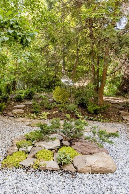 Spring, Day, Natural landscape, Garden, Garden, Garden view