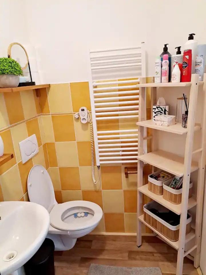 Toilet, Bathroom