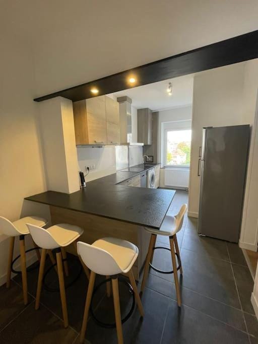 Mulhouse, Urban Family Nest Apartment in Mulhouse