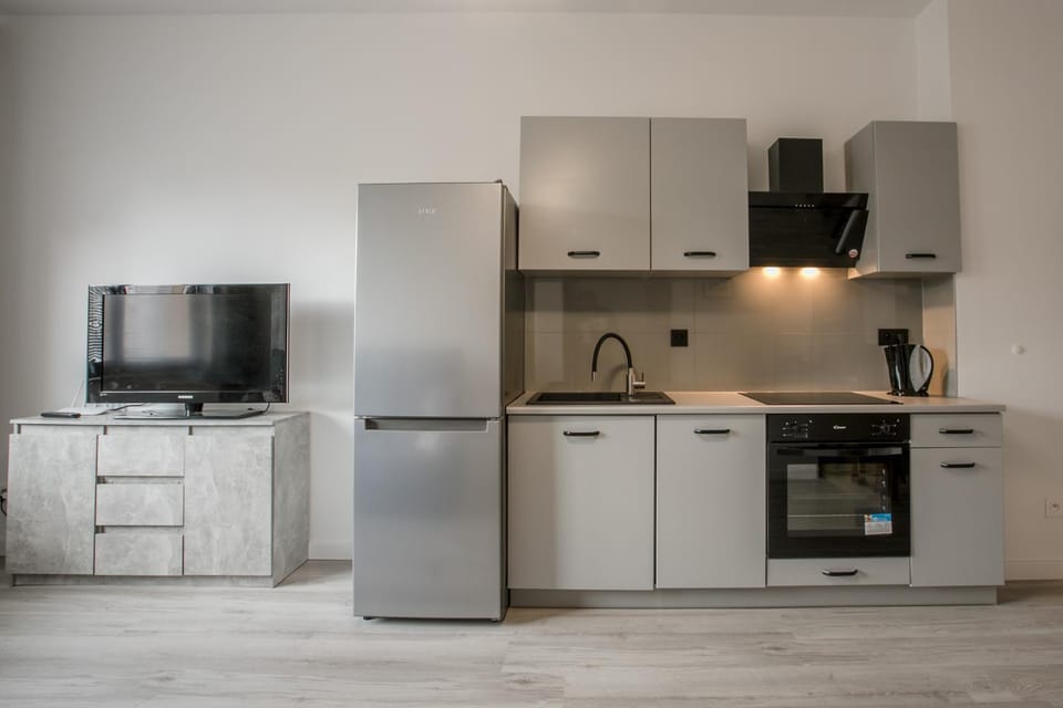 TV and multimedia, Kitchen or kitchenette, dishwasher, minibar, pet friendly, stove