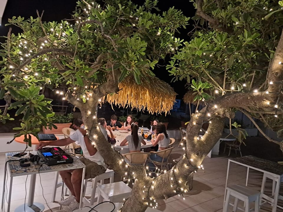 Patio, Restaurant/places to eat, Night, People, Garden, Living room, Banquet/Function facilities, Seating area, Dining area, Garden view, group of guests