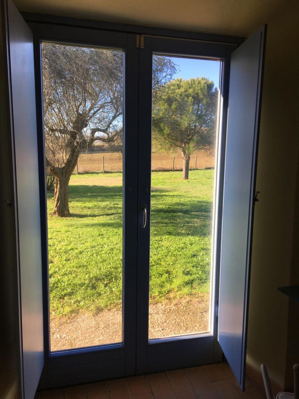 Garden view