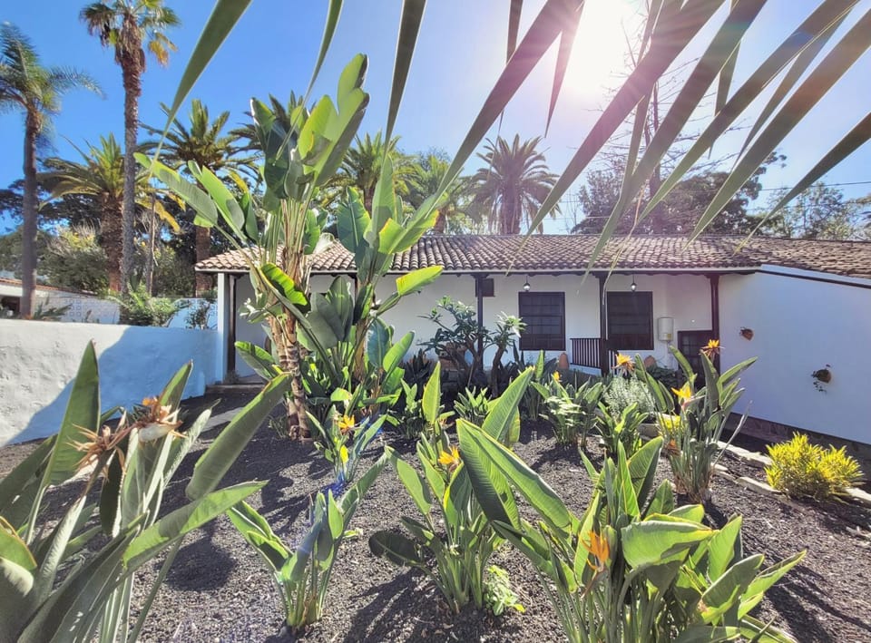 Property building, Facade/entrance, Garden