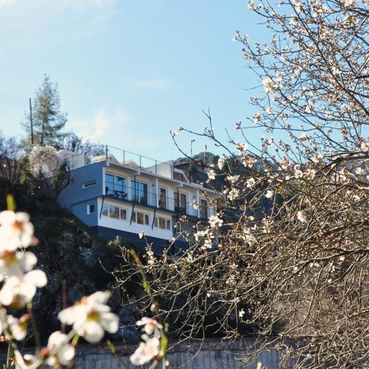 Property building, Spring