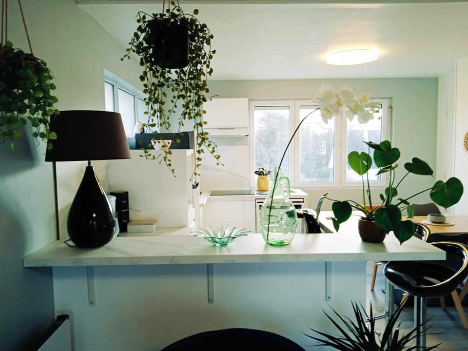 Superbe T3 terrasse et jardin centre bourg Apartment in Brittany