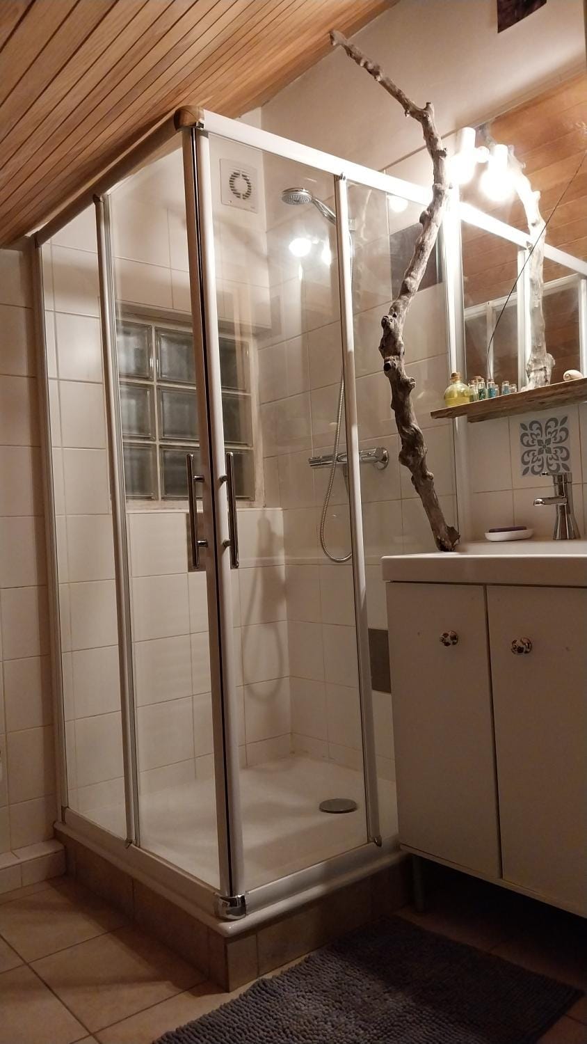 Bathroom, Living room