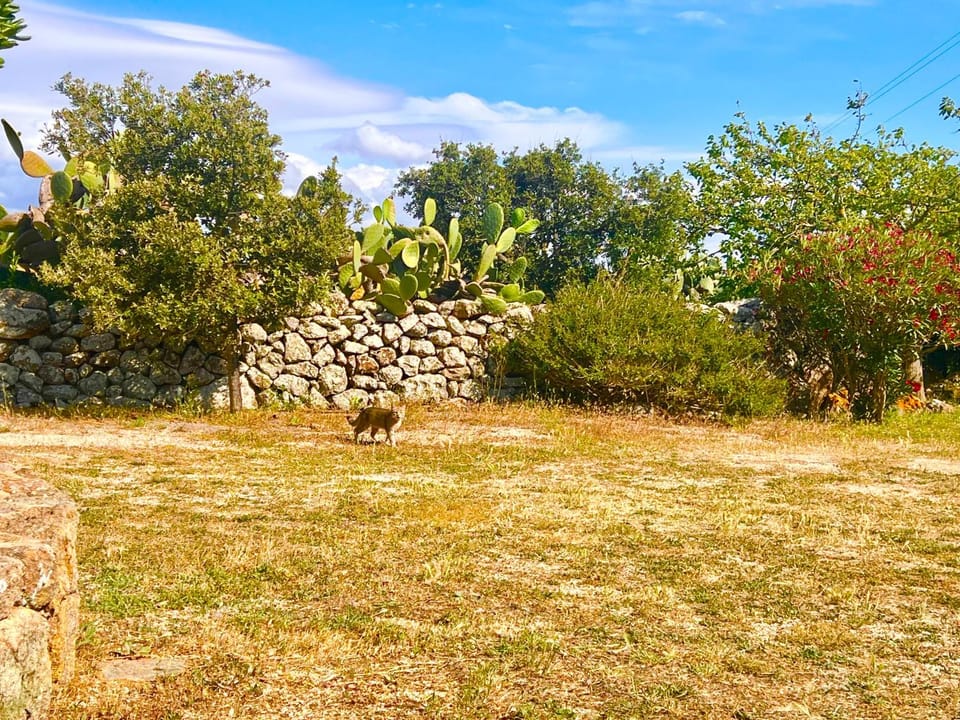 Spring, Natural landscape