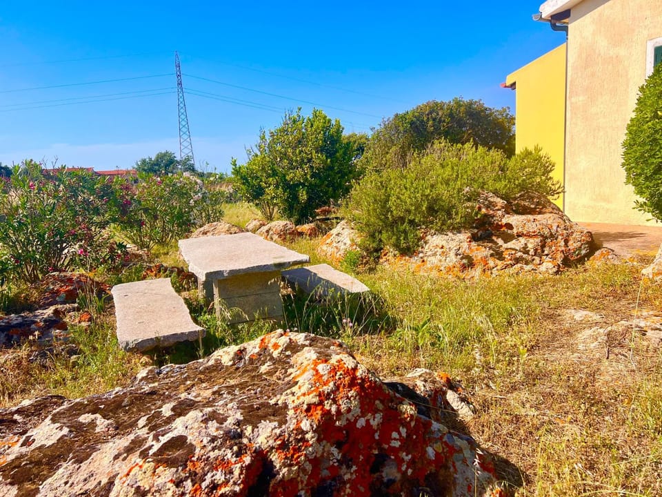 Natural landscape, Garden