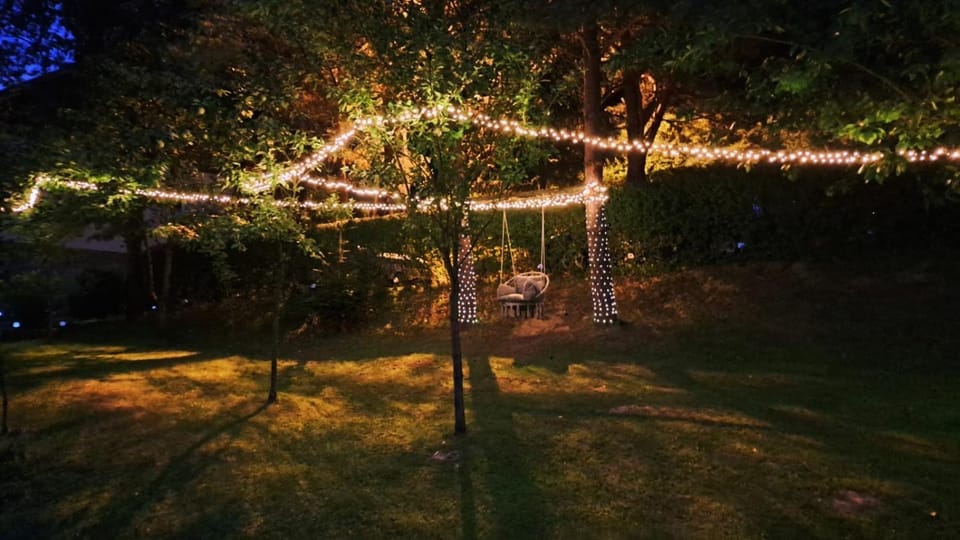 Night, Natural landscape, Garden, Garden view