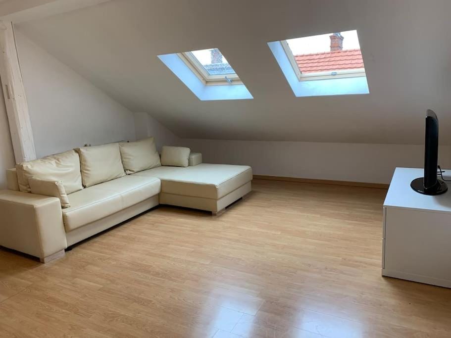 Cozy Little One Room Appartment, a tranquil haven! Apartment in Mulhouse