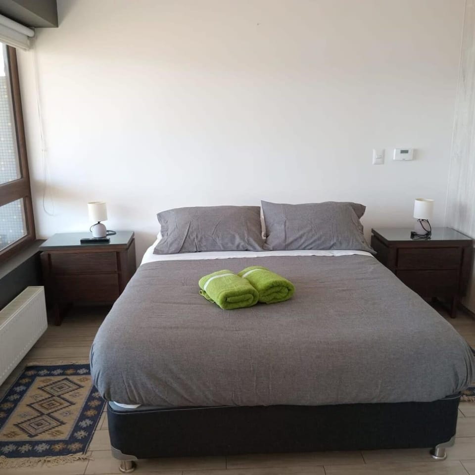 HOM I Vista al Mar I Parking I Terraza I Wifi Apartment in Valparaiso