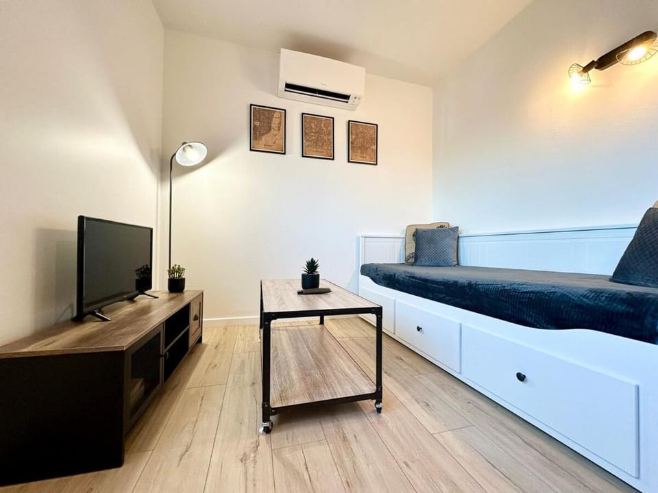 Le Clémenceau - Parking Privé - Fibre & Clim Apartment in Mont-de-Marsan