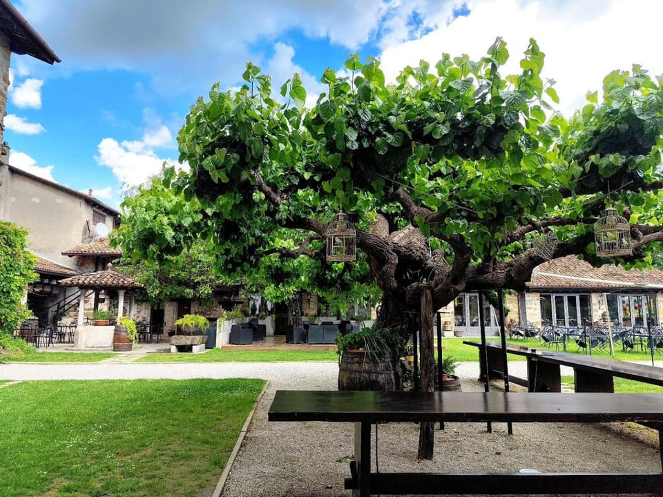 Garden, Garden view