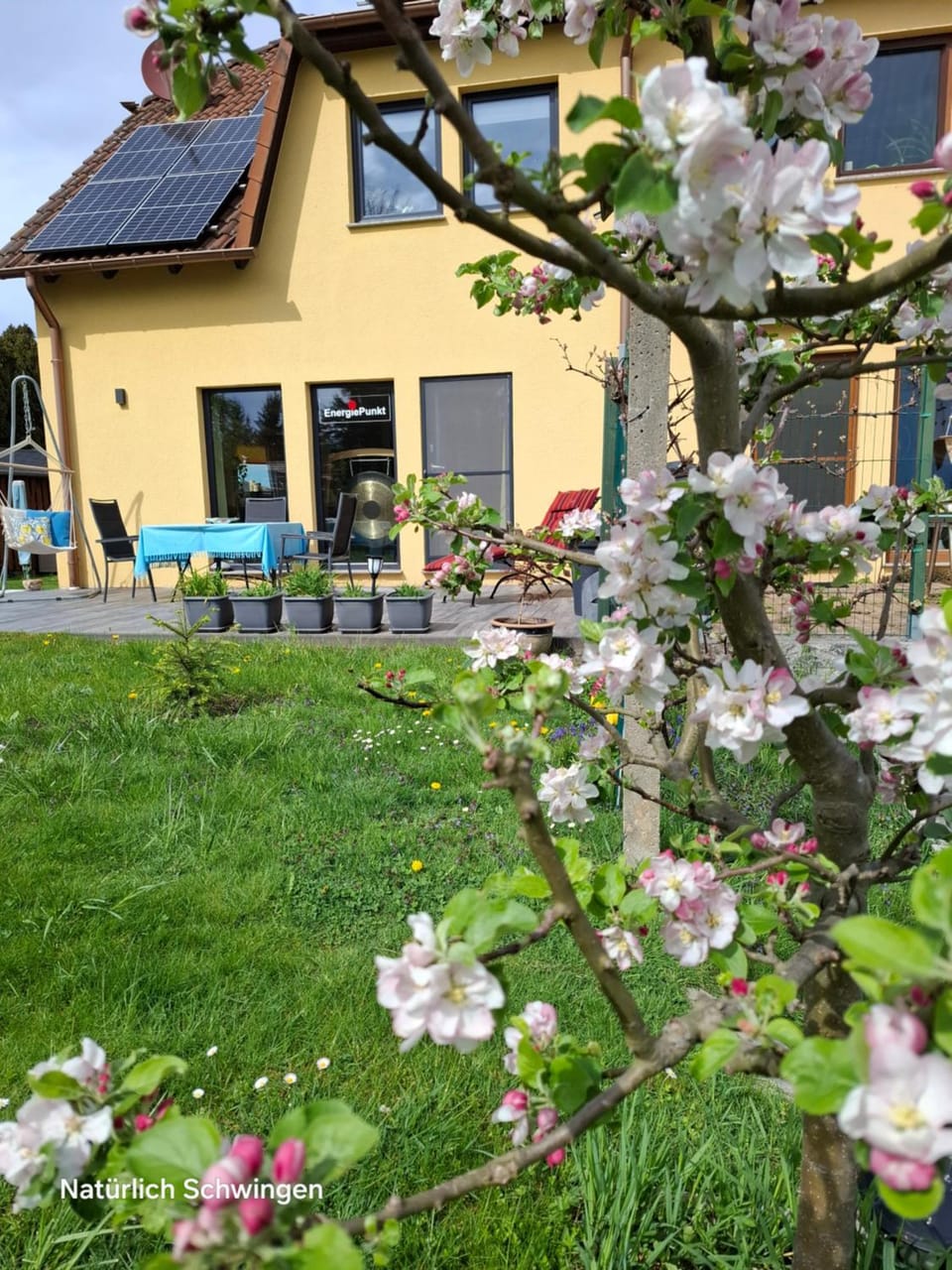 Property building, Garden