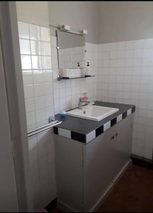 Les hyacinthes Apartment in Occitanie
