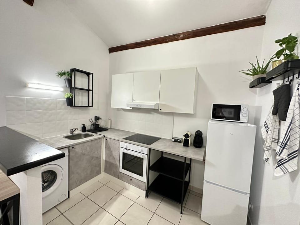 Coffee/tea facilities, Kitchen or kitchenette, minibar, pet friendly, stove, toaster, washing machine