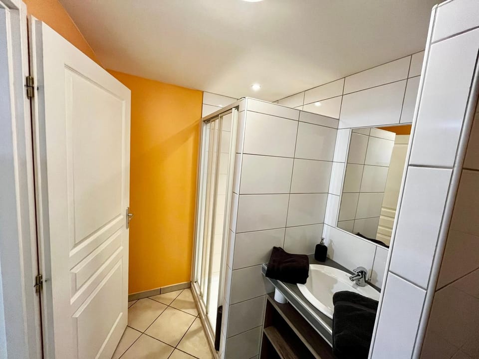 Magnifique appartement Apartment in Auvergne-Rhône-Alpes