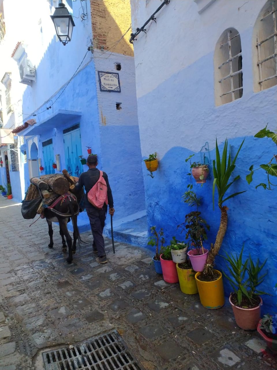 Honey Suckle Riad in Chefchaouen