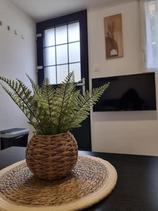 Agréable Logement / Netflix Apartment in Tours