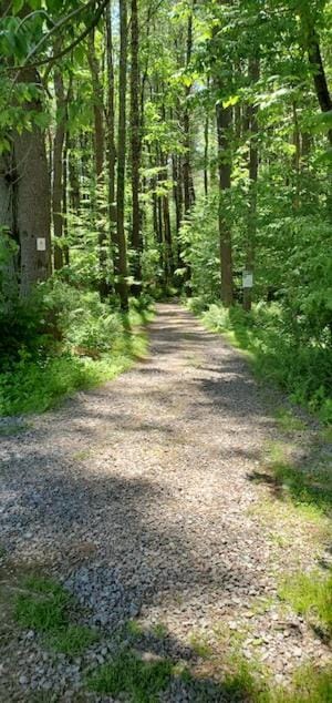 Day, Natural landscape