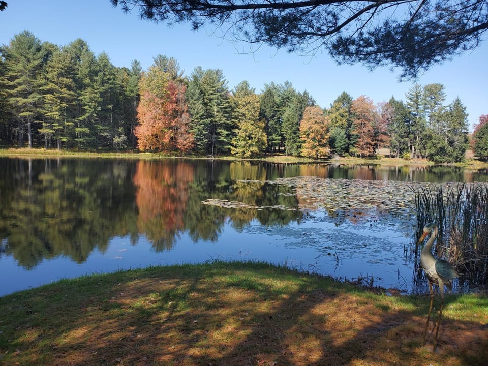 Day, Natural landscape, Lake view