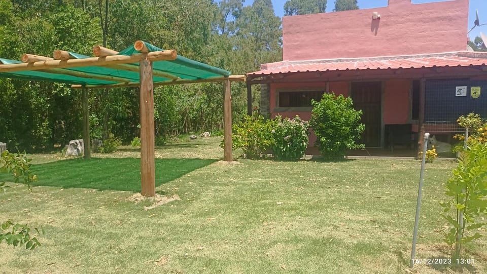 Property building, Patio, Spring, Day, Natural landscape, Garden, Garden view