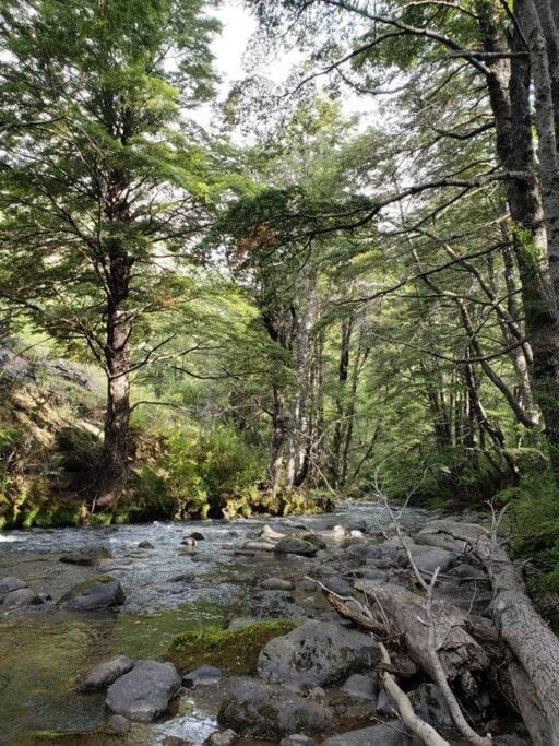Natural landscape