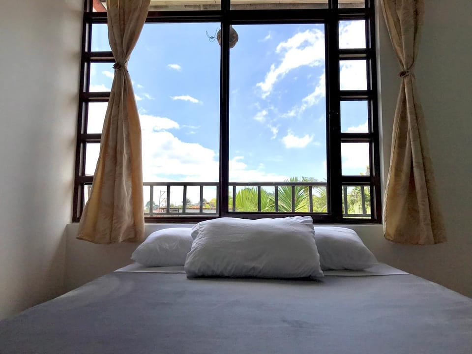 Spring, Bed, Natural landscape