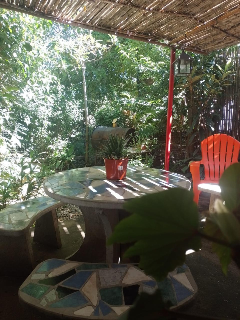 Garden view