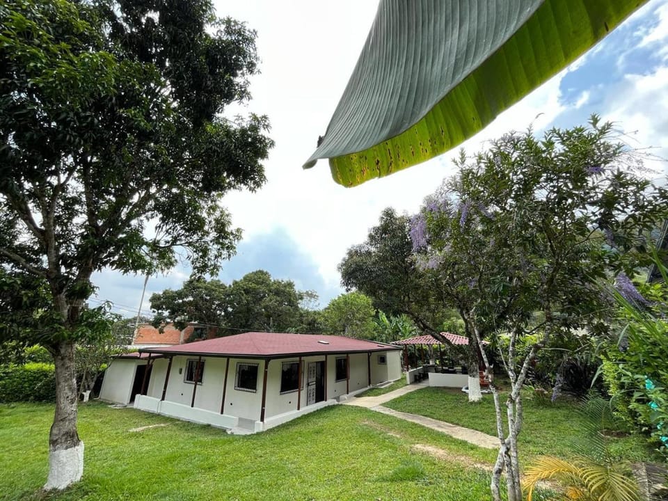 Natural landscape, Garden view
