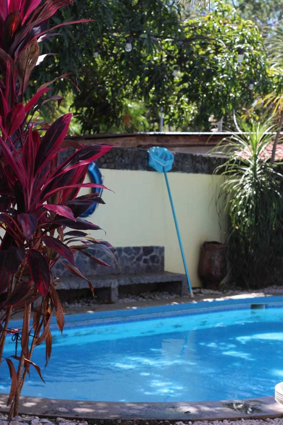 Coconut Beach House Hotel in Guanacaste Province
