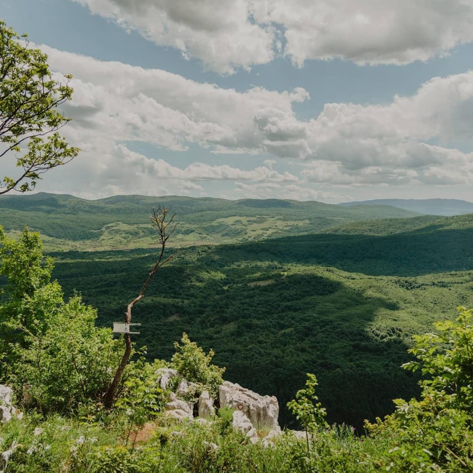 Natural landscape