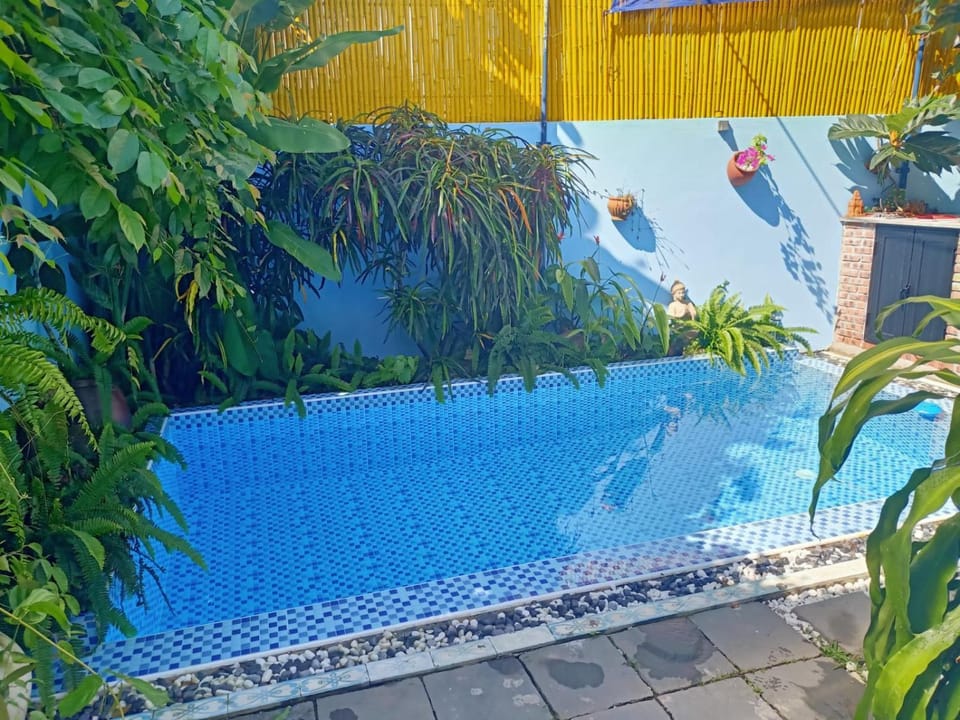 Swimming pool, Swimming pool