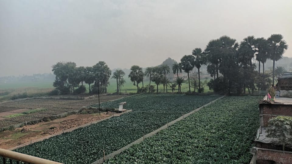 Sujata Buddha Homestay Vacation rental in India