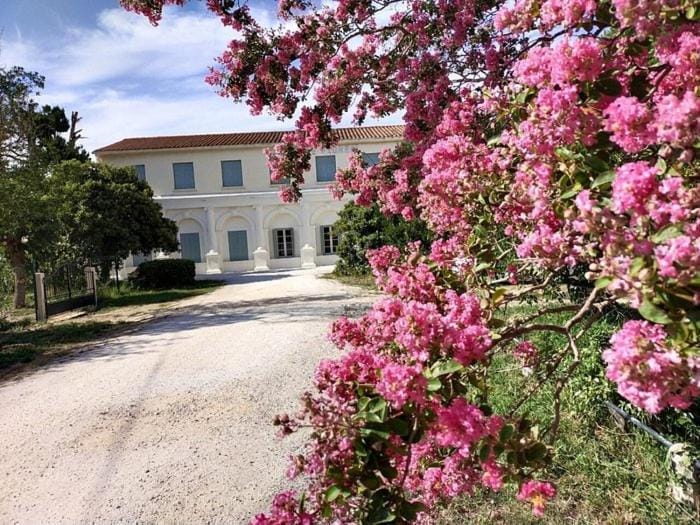 Property building, Spring, Garden, Garden