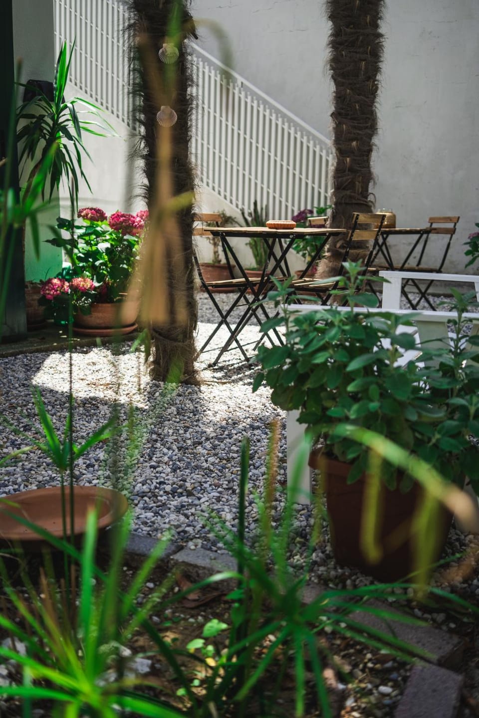 Patio, Garden