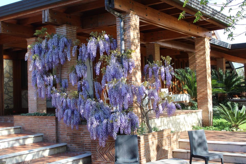 B&B Villa Sbaraglia Bed and Breakfast in Lazio