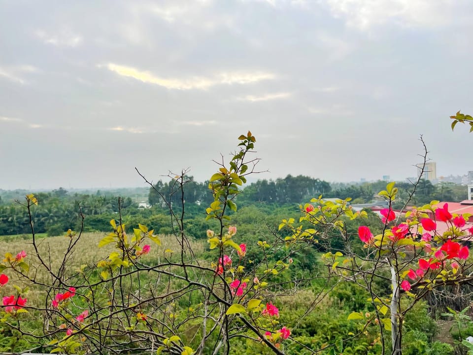 View (from property/room), Balcony/Terrace, Garden view