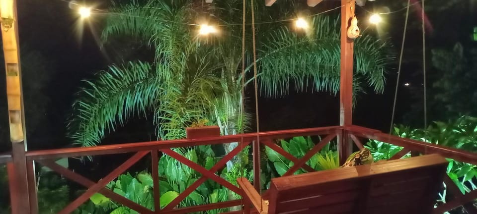 Night, Garden view