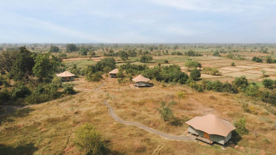 Trees N Tigers, Tadoba Hotel in Maharashtra