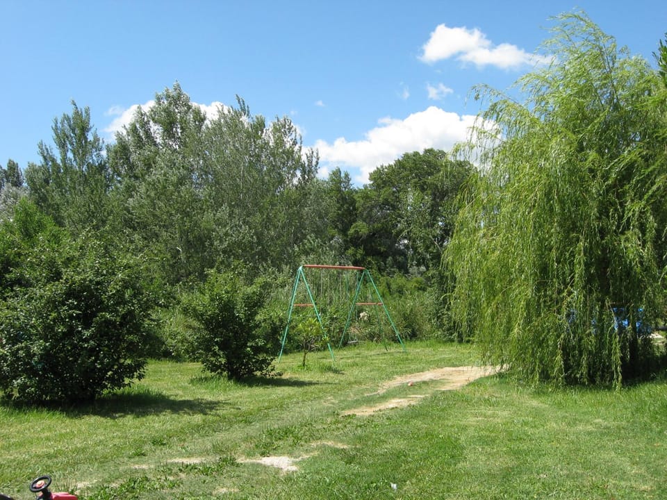 Spring, Day, Natural landscape, Garden, Garden view