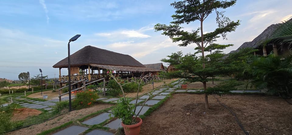 Natural landscape, Garden view