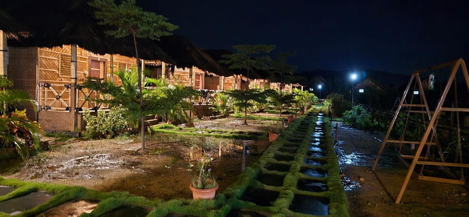 Night, Garden, Garden view